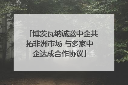 博茨瓦纳诚邀中企共拓非洲市场 与多家中企达成合作协议