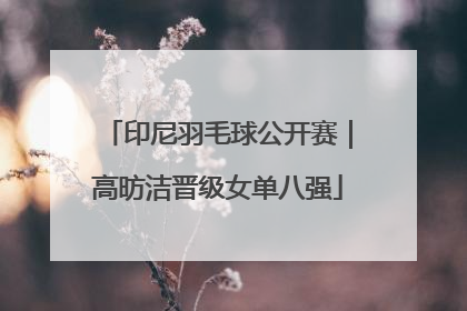 印尼羽毛球公开赛｜高昉洁晋级女单八强