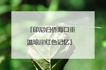 印尼归侨海口重温琼崖红色记忆