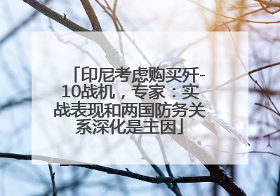 印尼考虑购买歼-10战机，专家：实战表现和两国防务关系深化是主因