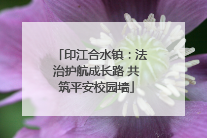 印江合水镇：法治护航成长路 共筑平安校园墙