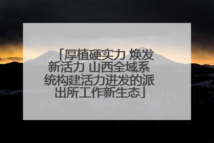 厚植硬实力 焕发新活力 山西全域系统构建活力迸发的派出所工作新生态