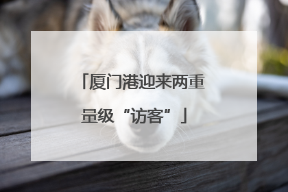 厦门港迎来两重量级“访客”