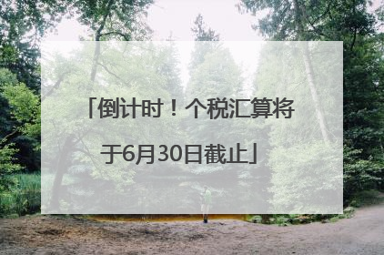 倒计时！个税汇算将于6月30日截止