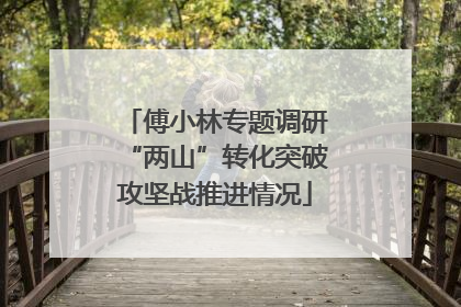 傅小林专题调研“两山”转化突破攻坚战推进情况