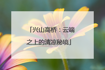 兴山高桥：云端之上的清凉秘境