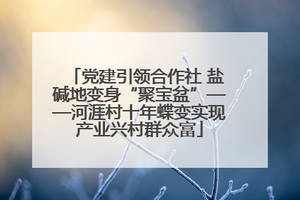 党建引领合作社 盐碱地变身“聚宝盆”——河涯村十年蝶变实现产业兴村群众富