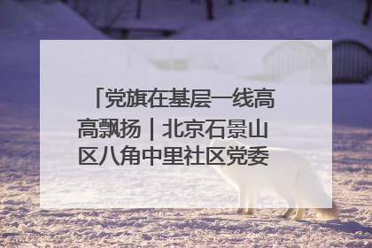 党旗在基层一线高高飘扬｜北京石景山区八角中里社区党委：用脚步丈量民生