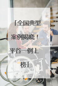 全国典型案例揭晓！平谷一例上榜