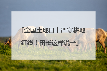 全国土地日丨严守耕地红线！田长这样说→