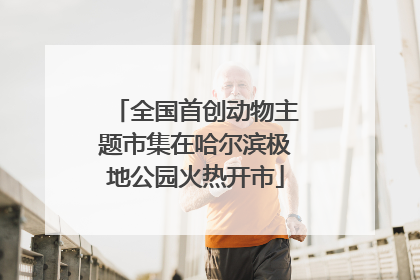 全国首创动物主题市集在哈尔滨极地公园火热开市