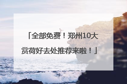 全部免费！郑州10大赏荷好去处推荐来啦！