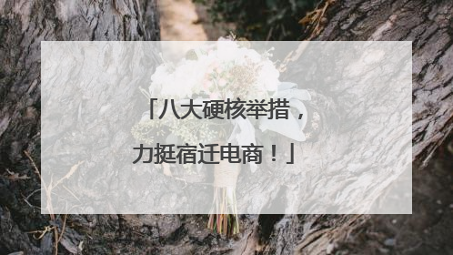 八大硬核举措，力挺宿迁电商！