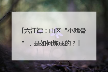六江谭：山区“小戏骨”，是如何炼成的？