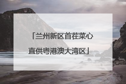 兰州新区首茬菜心直供粤港澳大湾区