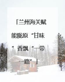 兰州海关赋能陇原“甘味”香飘“一带一路”