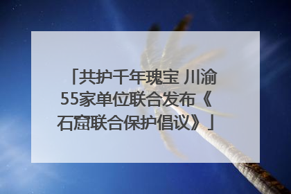 共护千年瑰宝 川渝55家单位联合发布《石窟联合保护倡议》