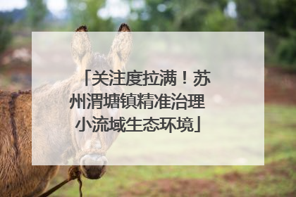 关注度拉满！苏州渭塘镇精准治理小流域生态环境