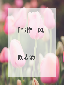 写作｜风吹麦浪