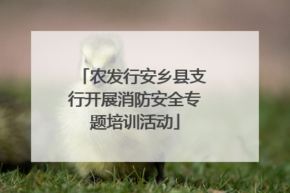 农发行安乡县支行开展消防安全专题培训活动
