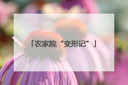 农家院“变形记”