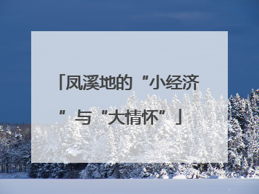 凤溪地的“小经济”与“大情怀”