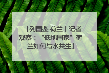 列国鉴·荷兰丨记者观察：“低地国家”荷兰如何与水共生