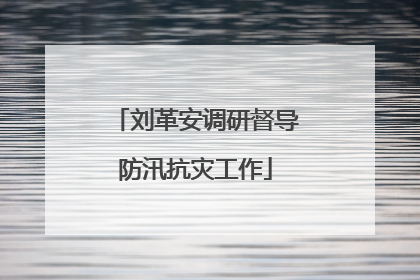 刘革安调研督导防汛抗灾工作