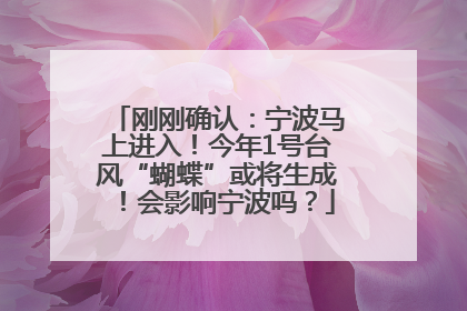 刚刚确认：宁波马上进入！今年1号台风“蝴蝶”或将生成！会影响宁波吗？