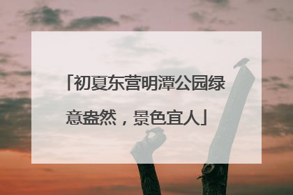 初夏东营明潭公园绿意盎然，景色宜人