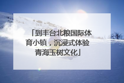 到丰台北粮国际体育小镇，沉浸式体验青海玉树文化