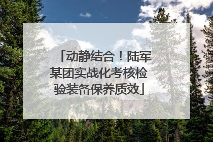 动静结合！陆军某团实战化考核检验装备保养质效