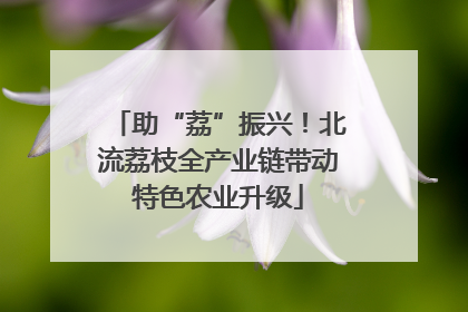 助“荔”振兴！北流荔枝全产业链带动特色农业升级