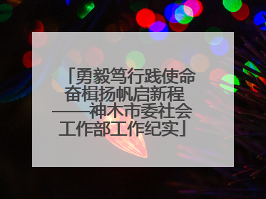 勇毅笃行践使命 奋楫扬帆启新程——神木市委社会工作部工作纪实