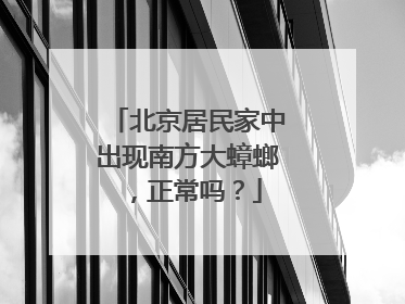 北京居民家中出现南方大蟑螂，正常吗？