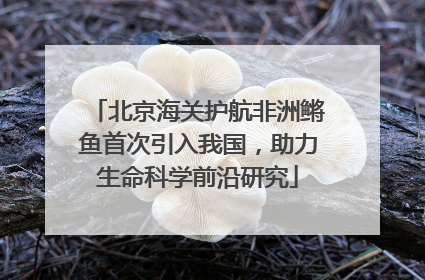 北京海关护航非洲鳉鱼首次引入我国，助力生命科学前沿研究