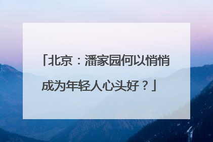 北京：潘家园何以悄悄成为年轻人心头好？