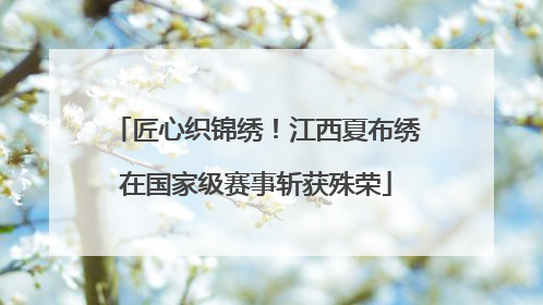 匠心织锦绣！江西夏布绣在国家级赛事斩获殊荣