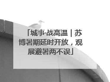 城事·战高温｜苏博暑期延时开放，观展避暑两不误