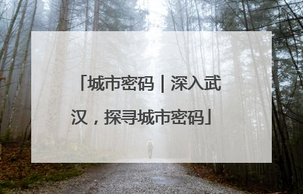 城市密码｜深入武汉，探寻城市密码
