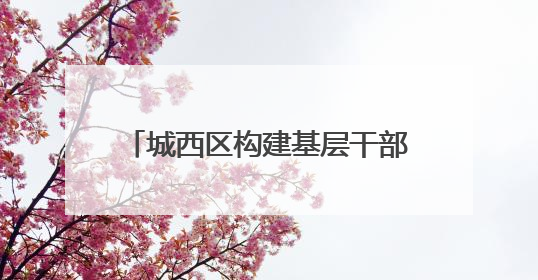 城西区构建基层干部队伍梯队培养体系