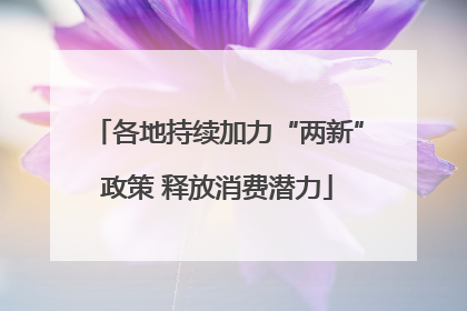 各地持续加力“两新”政策 释放消费潜力