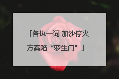 各执一词 加沙停火方案陷“罗生门”