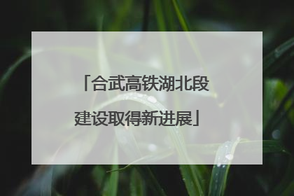 合武高铁湖北段建设取得新进展