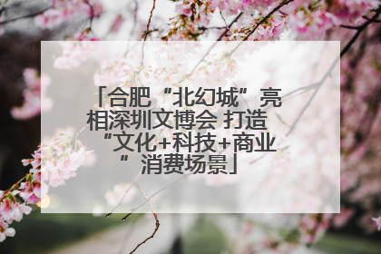 合肥“北幻城”亮相深圳文博会 打造“文化+科技+商业”消费场景