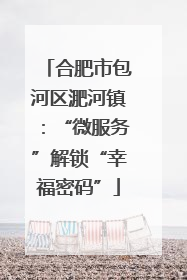 合肥市包河区淝河镇：“微服务”解锁“幸福密码”