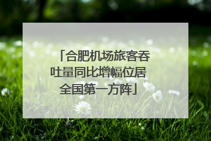 合肥机场旅客吞吐量同比增幅位居全国第一方阵