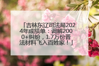 吉林东辽司法局2024年成绩单：调解2000+纠纷，1.7万份普法材料飞入百姓家！