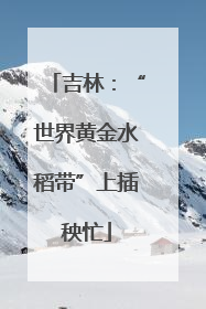 吉林：“世界黄金水稻带”上插秧忙