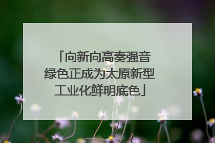 向新向高奏强音 绿色正成为太原新型工业化鲜明底色